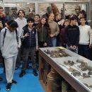 Visite du collège Jean Monnet de Castres